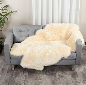 Four Piece Gold Star Longwool Sheepskin Rug Champagne Bowron Sheepskins, Champagne, colour-110-x-180-min, modern, Sheepskin, Wool, £150 - £350 Rugs Bowron Sheepskins 